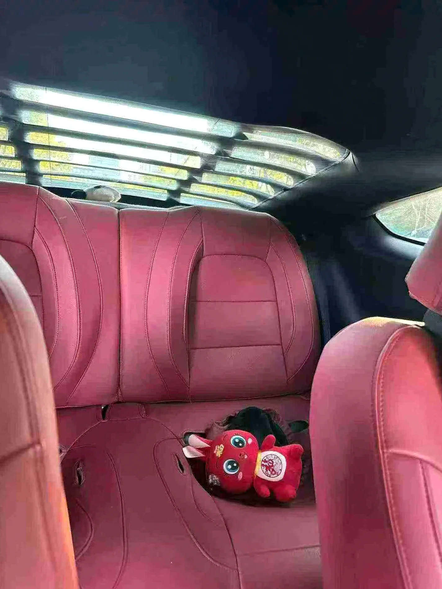 福特野马 后面外观三