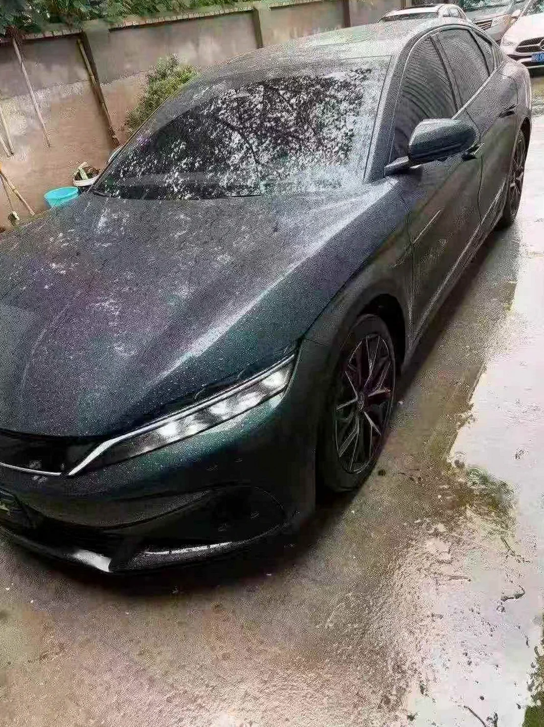 比亚迪汉 后面外观二