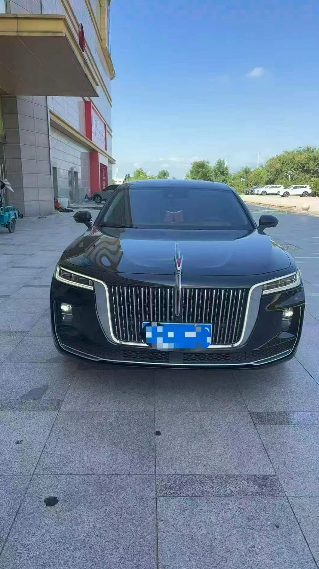 23年红旗H9 2.0T 全景天窗