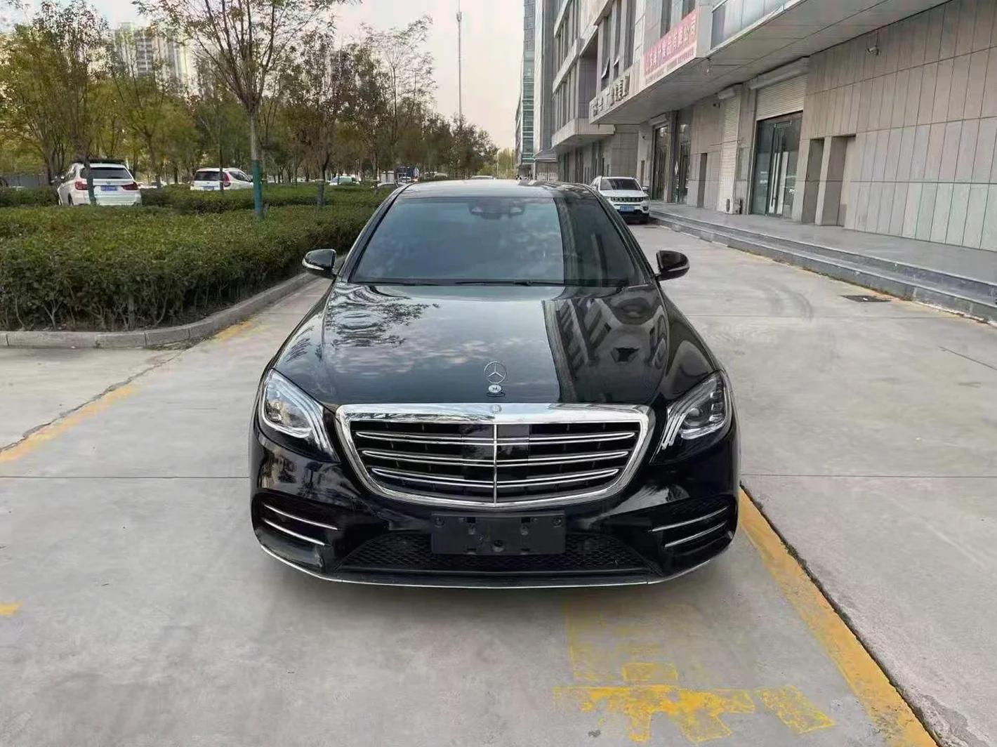 奔驰S级 正面外观二