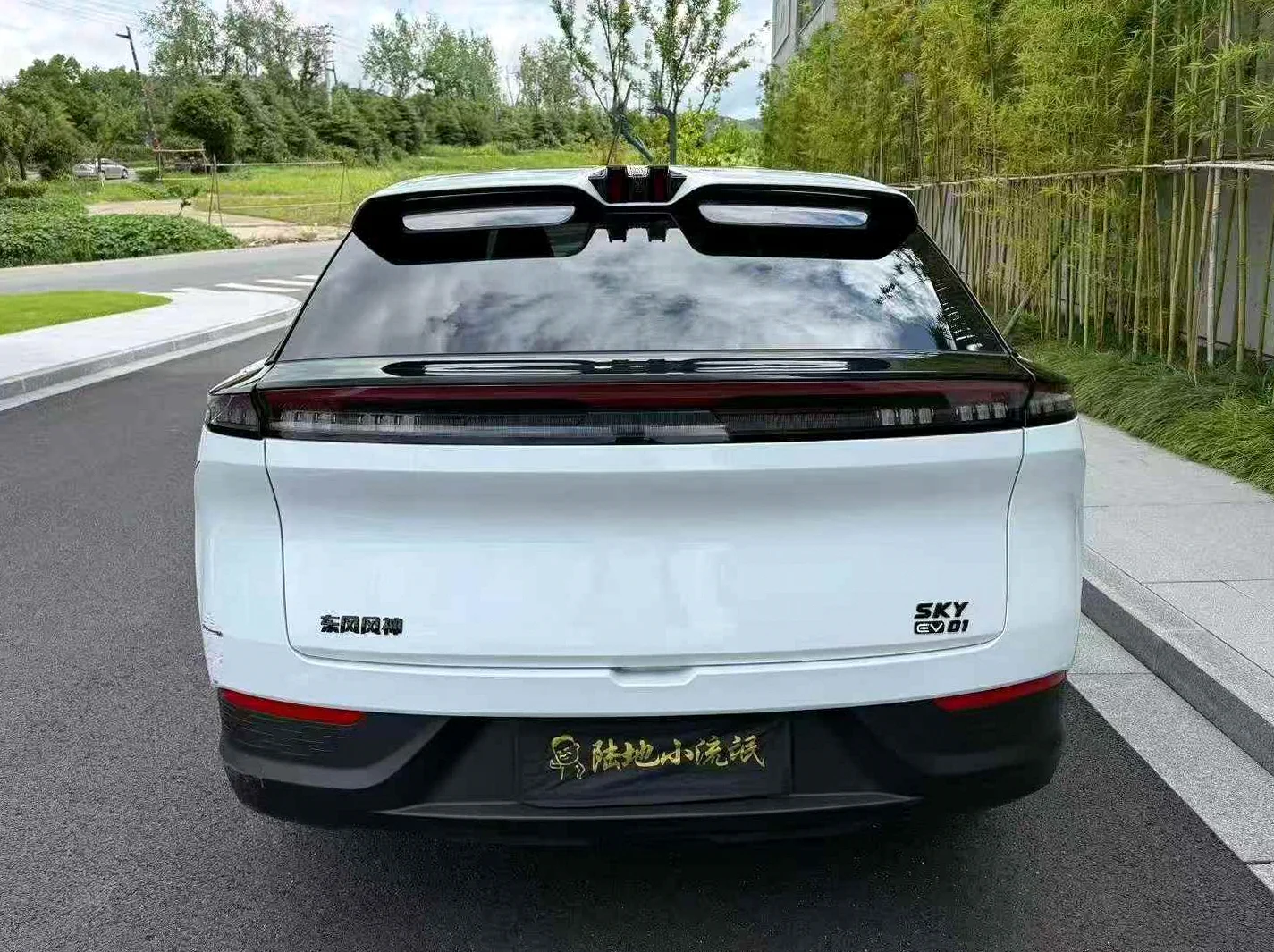 东风SKY01 后面外观二
